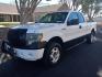 2011 WHITE /gray and black Ford F-150 FX4 SuperCab 6.5-ft. Bed 4WD (1FTFX1EF6BF) with an 5.0L V8 engine, 4-Speed Automatic transmission, located at 323 E Dunlap Ave., Phoenix, AZ, 85020, (602) 331-9000, 33.567677, -112.069000 - Photo#0